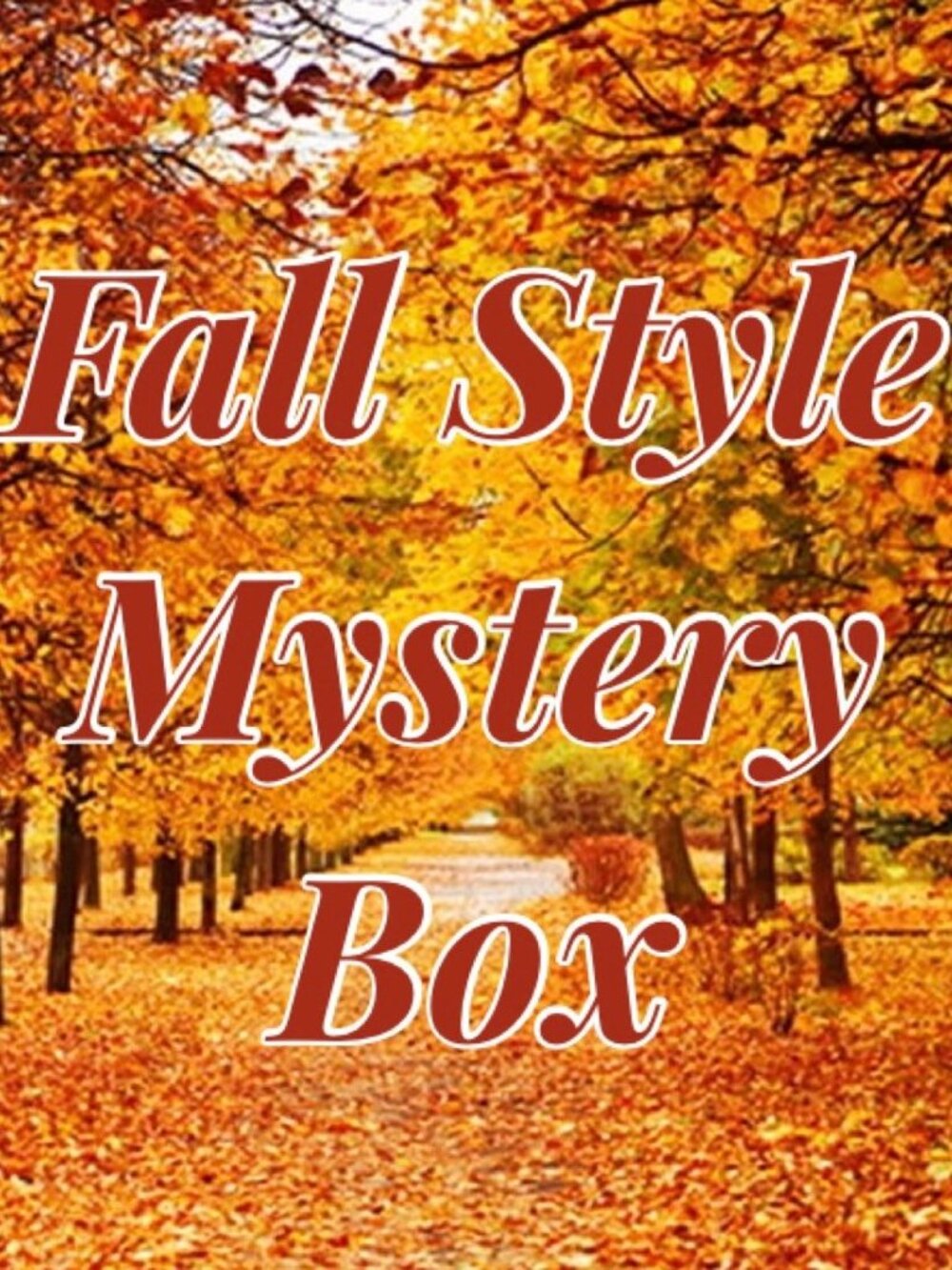 🍁10 items🍁Ladies Fall Autumn Cozy Colorful Mystery Box ❤️